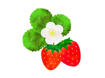 5月 いちご制作、虫探し